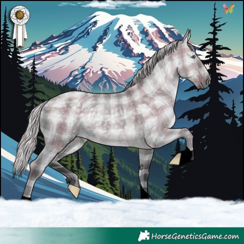 Horse Color:Plaid  Silver Grullo Chinchilla 