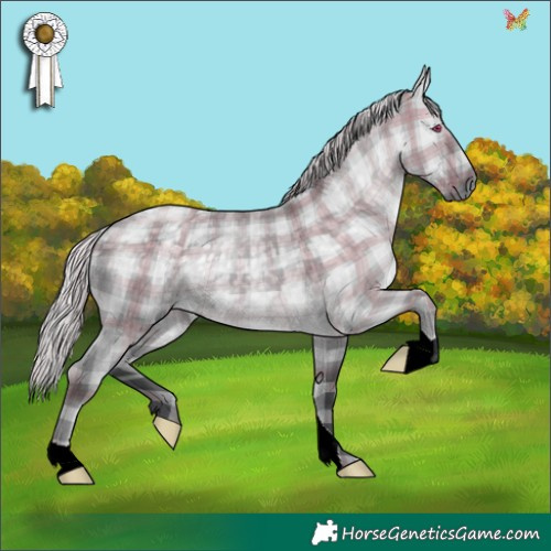 Horse Color:Plaid  Silver Grullo Chinchilla 