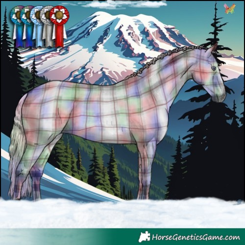 Horse Color:Nacre Plaid  Silver Grullo Chinchilla 