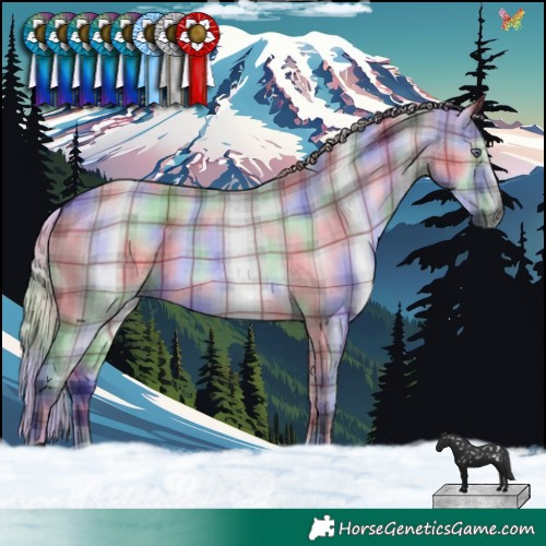 Horse Color:Nacre Plaid  Silver Grullo Chinchilla 
