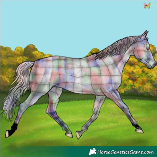 Horse Color:Nacre Plaid  Silver Grullo Chinchilla 