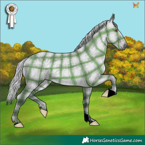 Horse Color:Plaid  Silver Grullo Chinchilla Rabicano 