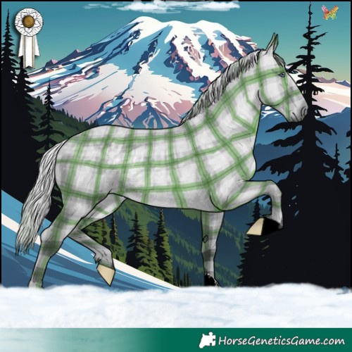 Horse Color:Plaid  Silver Grullo Chinchilla Rabicano 