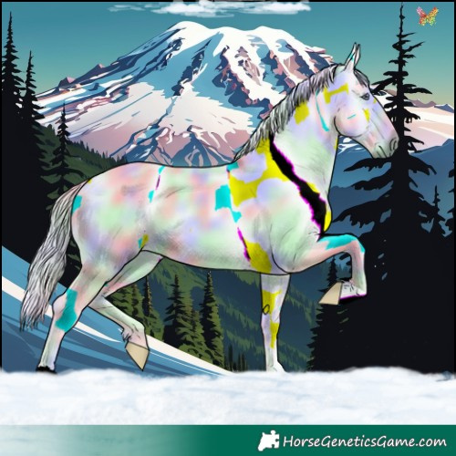 Horse Color:Nacre Liver Red Dun Chinchilla 
