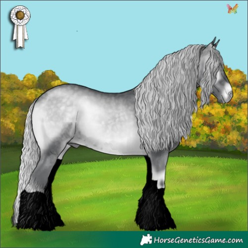 Horse Color:Silver Blue Onyx Chinchilla 