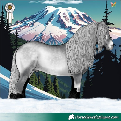 Horse Color:Silver Blue Onyx Chinchilla 