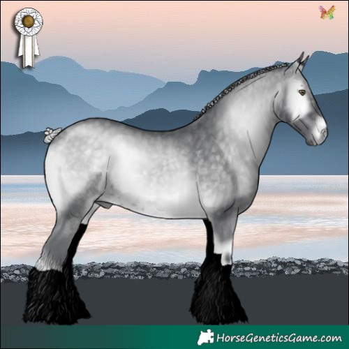 Horse Color:Silver Blue Onyx Chinchilla 