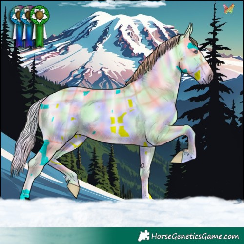 Horse Color:Nacre Plaid  Liver Red Onyx Chinchilla 