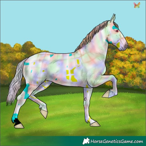 Horse Color:Nacre Plaid  Liver Red Onyx Chinchilla 