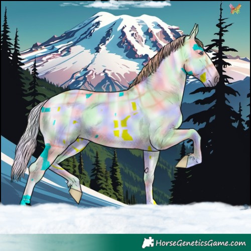Horse Color:Nacre Plaid  Liver Red Onyx Chinchilla 