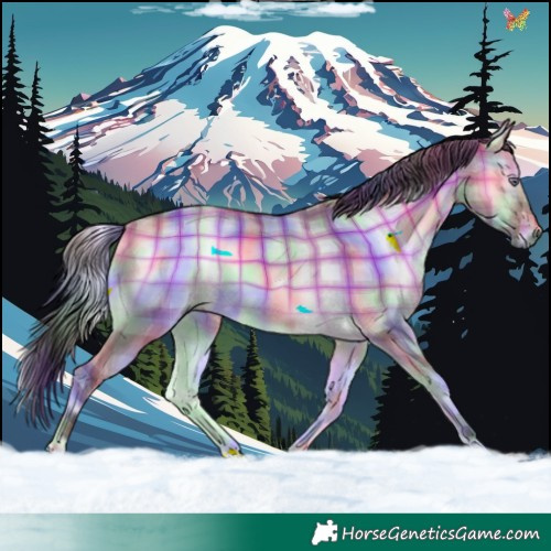 Horse Color:Nacre Plaid  Brown Chinchilla Onyx 