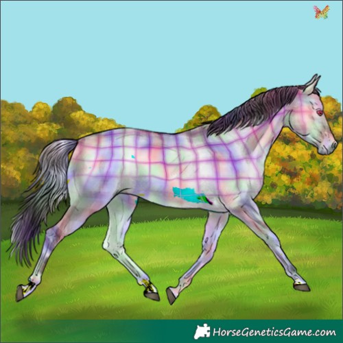 Horse Color:Nacre Plaid  Brown Chinchilla Onyx 