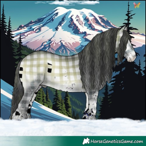 Horse Color:Plaid  White Spotted Brown Chinchilla Onyx 