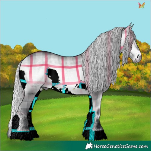 Horse Color:Plaid  Silver Brown Chinchilla Onyx 
