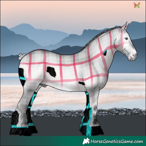 Horse Color:Plaid  Silver Brown Chinchilla Onyx 