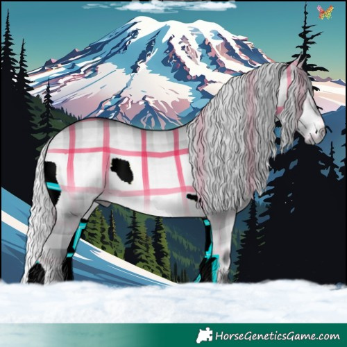 Horse Color:Plaid  Silver Brown Chinchilla Onyx 