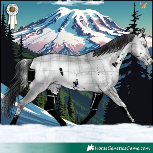 Horse Color:Plaid  White Spotted Brown Chinchilla Onyx 