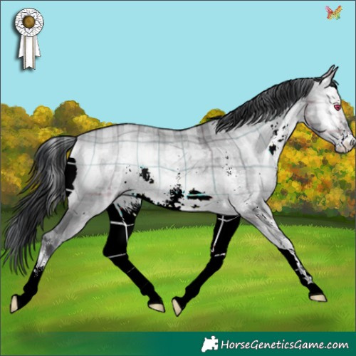 Horse Color:Plaid  White Spotted Brown Chinchilla Onyx 