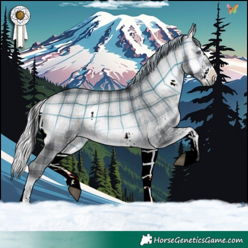 Horse Color:Plaid  White Spotted Silver Brown Chinchilla Onyx 