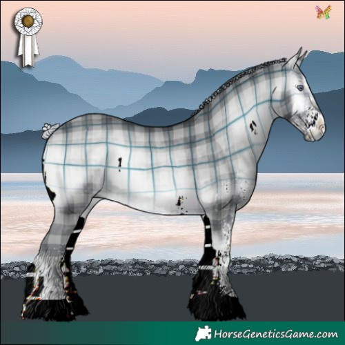 Horse Color:Plaid  White Spotted Silver Brown Chinchilla Onyx 
