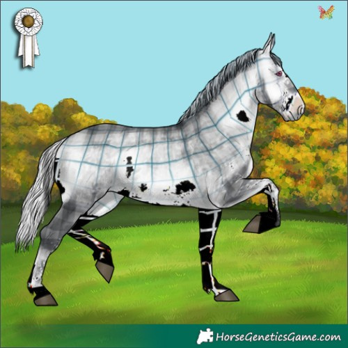 Horse Color:Plaid  White Spotted Silver Brown Chinchilla Onyx 