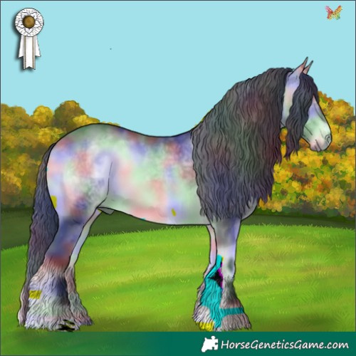 Horse Color:Nacre Brown Chinchilla Onyx 