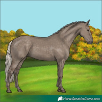 Horse Color:Silver Grullo 