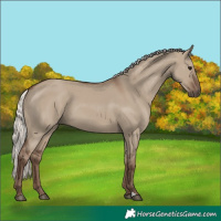 Horse Color:Silver Grullo 