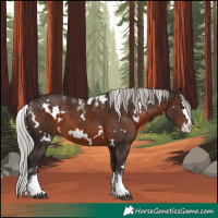 Horse Color:Powder White White Spotted Silver Brown Splash 