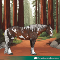 Horse Color:Powder White White Spotted Silver Brown Splash