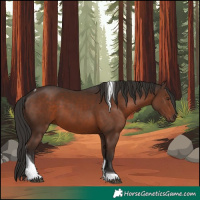 Horse Color:Liver Chestnut Tobiano 