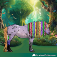 Horse Color:Void Painted Watercolor White Spotted Silver Bay Dun Tobiano