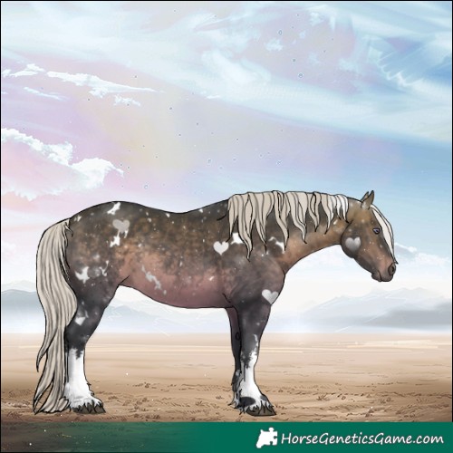 Horse Color:White Spotted Silver Brown Chinchilla Rabicano 