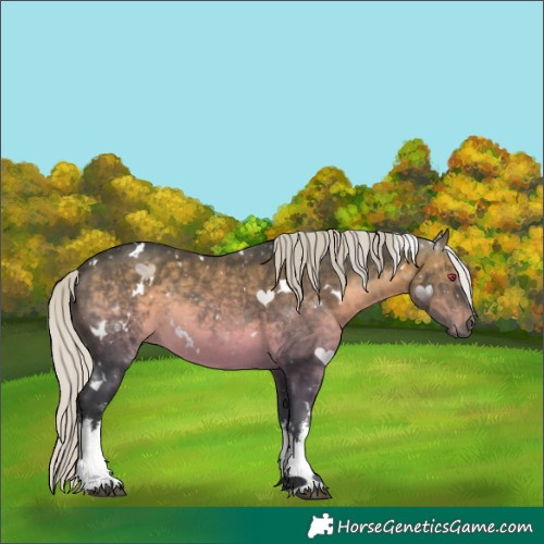 Horse Color:White Spotted Silver Brown Chinchilla Rabicano 