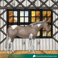 Horse Color:Silver Grullo Tobiano Rabicano 