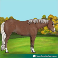 Horse Color:Silver Black 