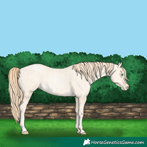 Horse Color:Buckskin Roan Pearl  and Buckskin Pearl 