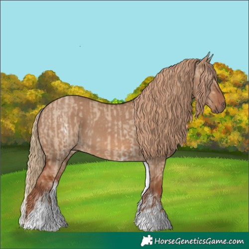 Horse Color:White Spotted Red Dun Rabicano  and White Spotted Red Dun Rabicano 