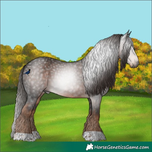 Horse Color:Gray Liver Chestnut 