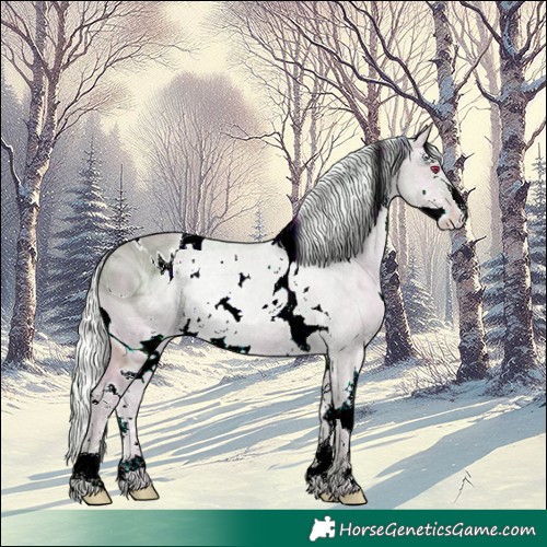 Horse Color:ERROR: UNKNOWN ANOMALY