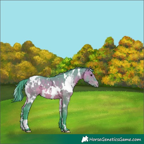 Horse Color:Watercolor White Spotted Brown Ice Dun Varnish 