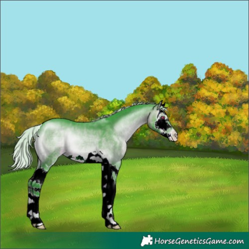Horse Color:Watercolor Silver Brown Chinchilla Onyx Splash 