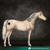 Horse Color:Palomino Pearl 