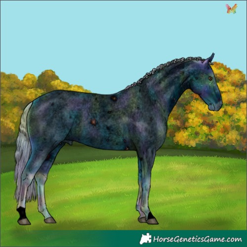 Horse Color:ERROR: UNKNOWN ANOMALY