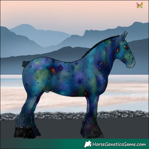 Horse Color:ERROR: UNKNOWN ANOMALY