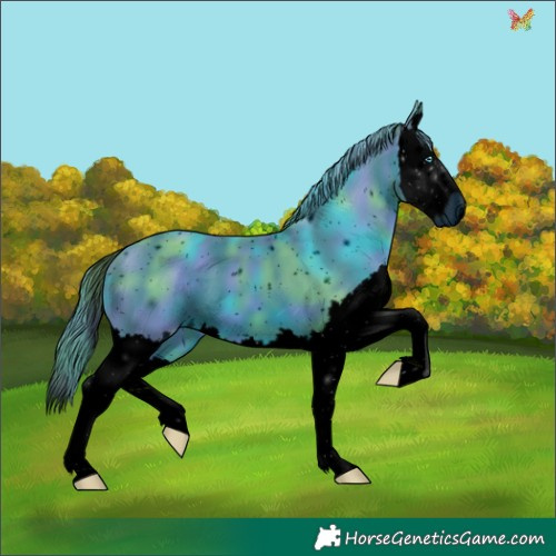 Horse Color:ERROR: UNKNOWN ANOMALY