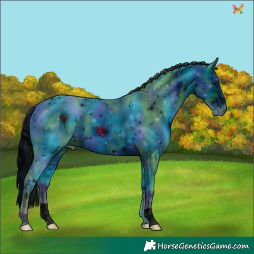 Horse Color:ERROR: UNKNOWN ANOMALY