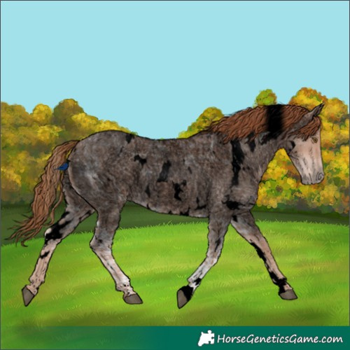 Horse Color:Void White Spotted Red Ice Roan Rabicano