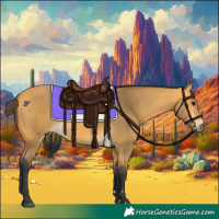 Horse Color:Buckskin 