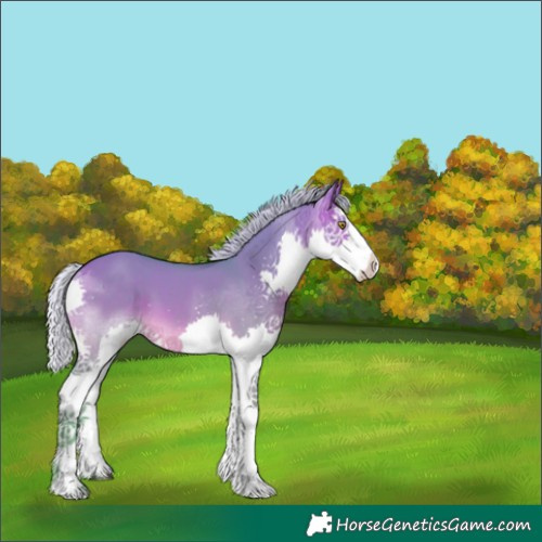 Horse Color:Watercolor Silver Buckskin Dun Splash 